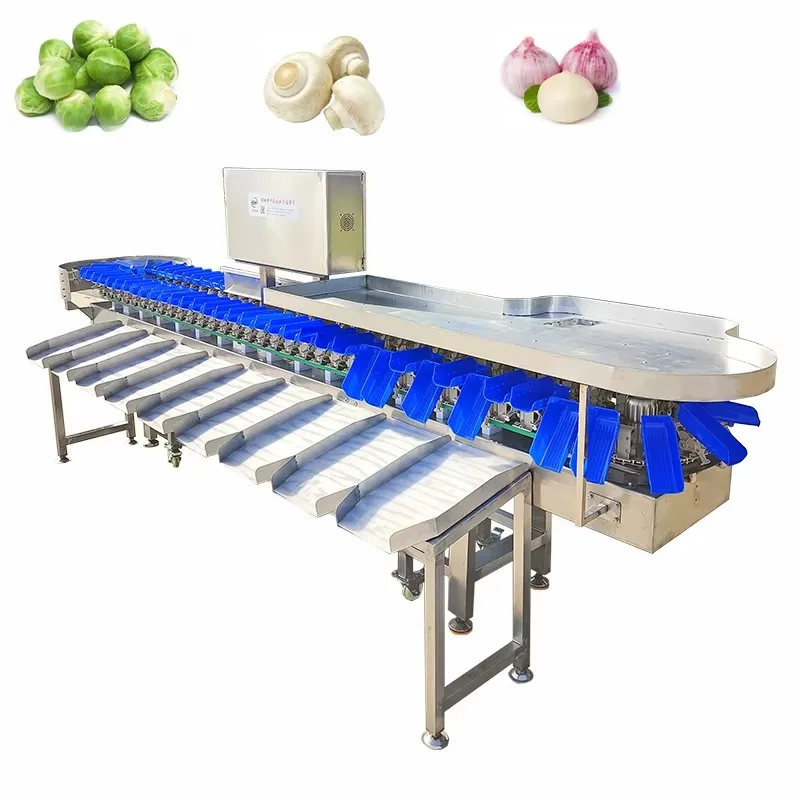 Price Automatic Fruit Vegetable Sorter Potato Tomato Orange Avocado Onion Grading Washing and Weighing Machine