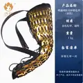 GD-1 pair