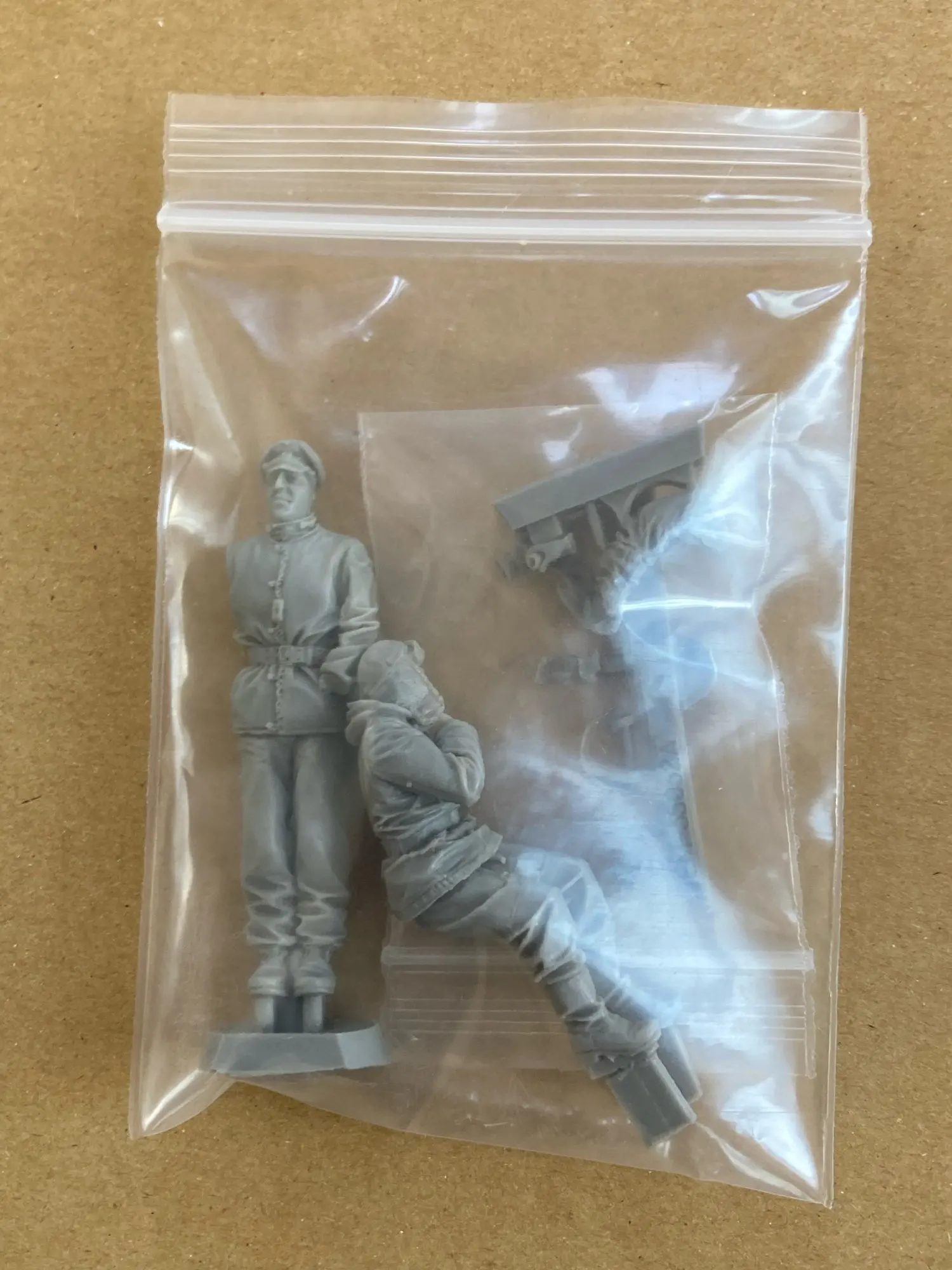 Buyer photo of this resin kit