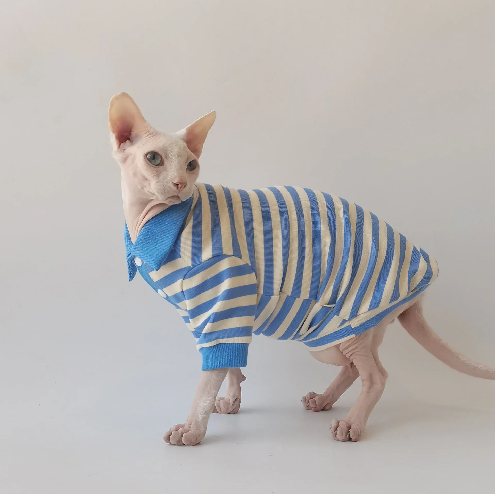 

Spring New Polo Shirt Sphynx Hairless Cat Devon Clothes Cotton Breathable