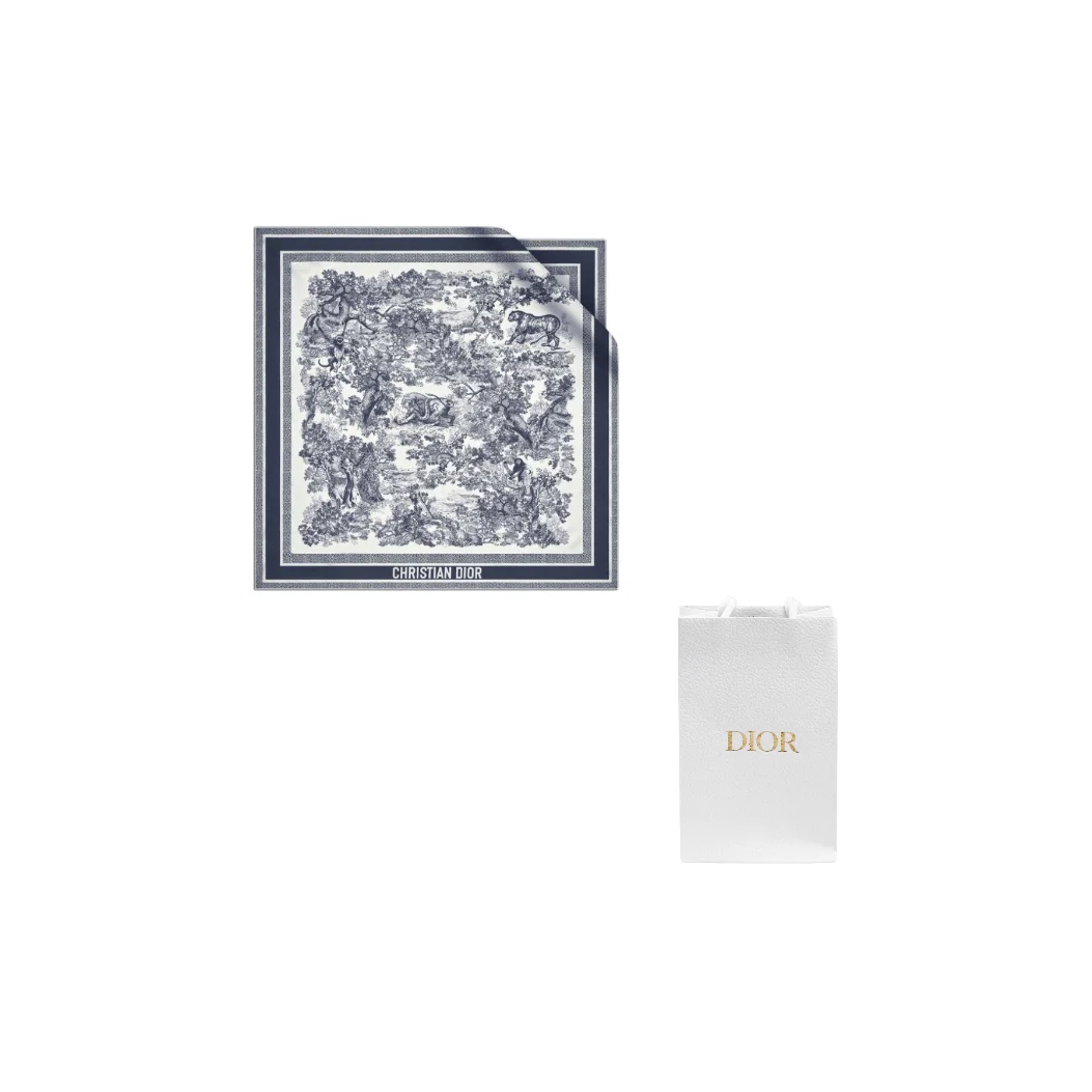 DIOR Mulberry Silk Scarves Women's 15JOU090I602-C545