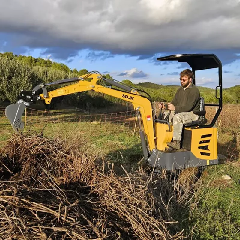 Petite pelle sur chenilles, livraison rapide, utilisation agricole, déchaîne, Production en usine, Mini pelle de 1,6 tonne de haute qualité, personnalisée