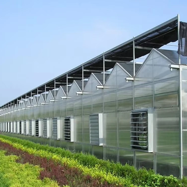 

Customized greenhouseCustomized Big Size Modern Intelligent Polycarbonate Greenhouse for Agricultural Planting