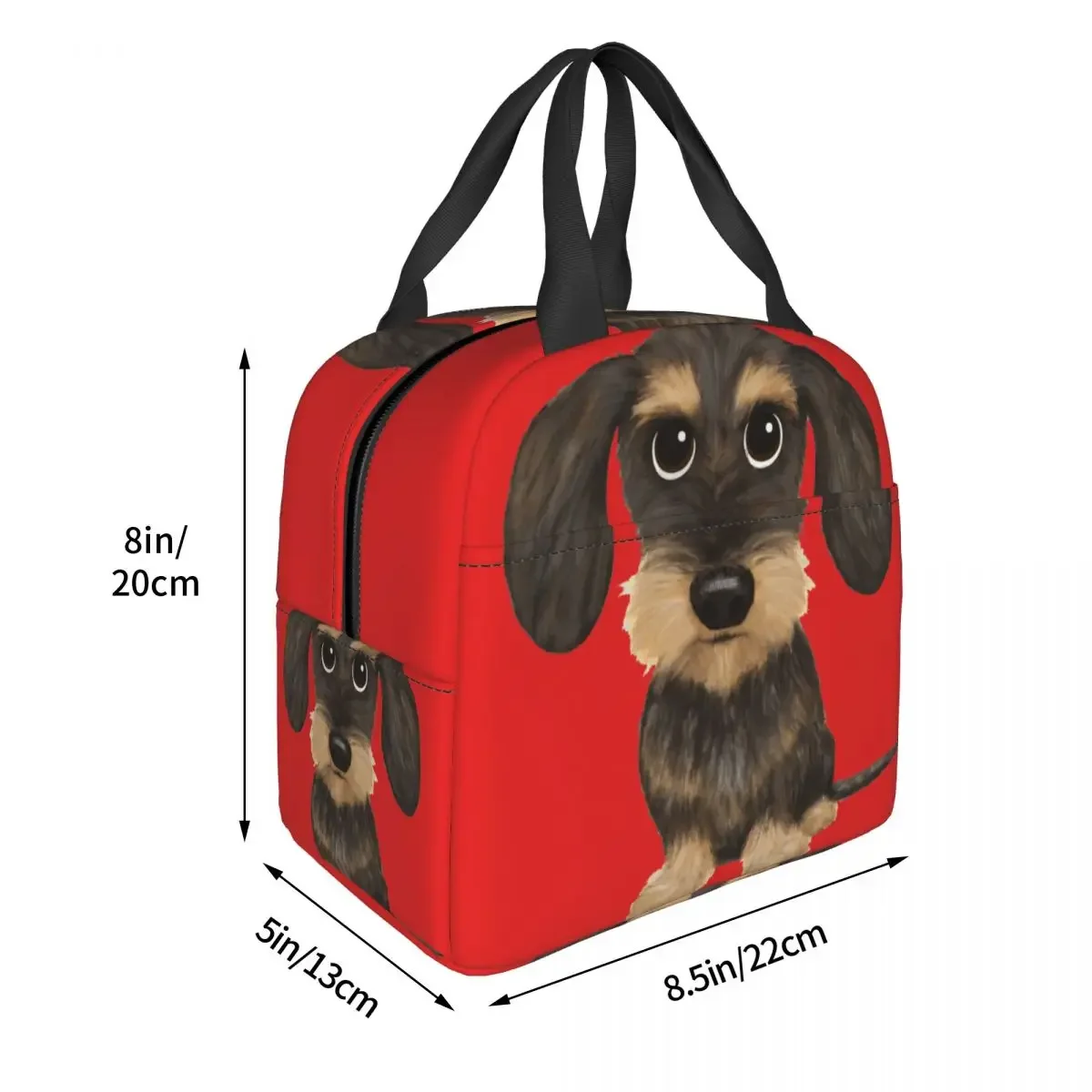 Wirehaired Dachshund Cute Wire Haired Wiener Dog Wild Boar Lunch Bags Bento Box Lunch Tote Leakproof Bags Cooler Thermal Bag