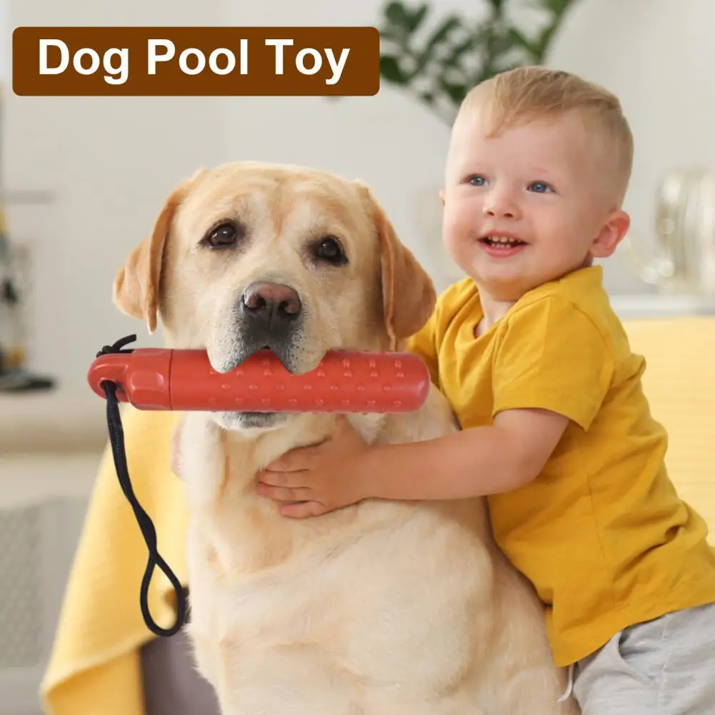 

Flexible Pet Toy for Play Floating Dog Pool Toy with Rope for Summer Outdoor Training Durable Tpr Chew Toy for Hiding Food