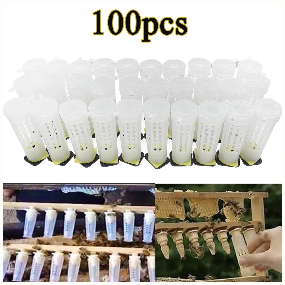 100PCS Nicot Queen Rearing Plastic Hair Roller Cage Protector Unhatched Sealed Cell Cup Cover Anti-Bite Beekeeping Supplies