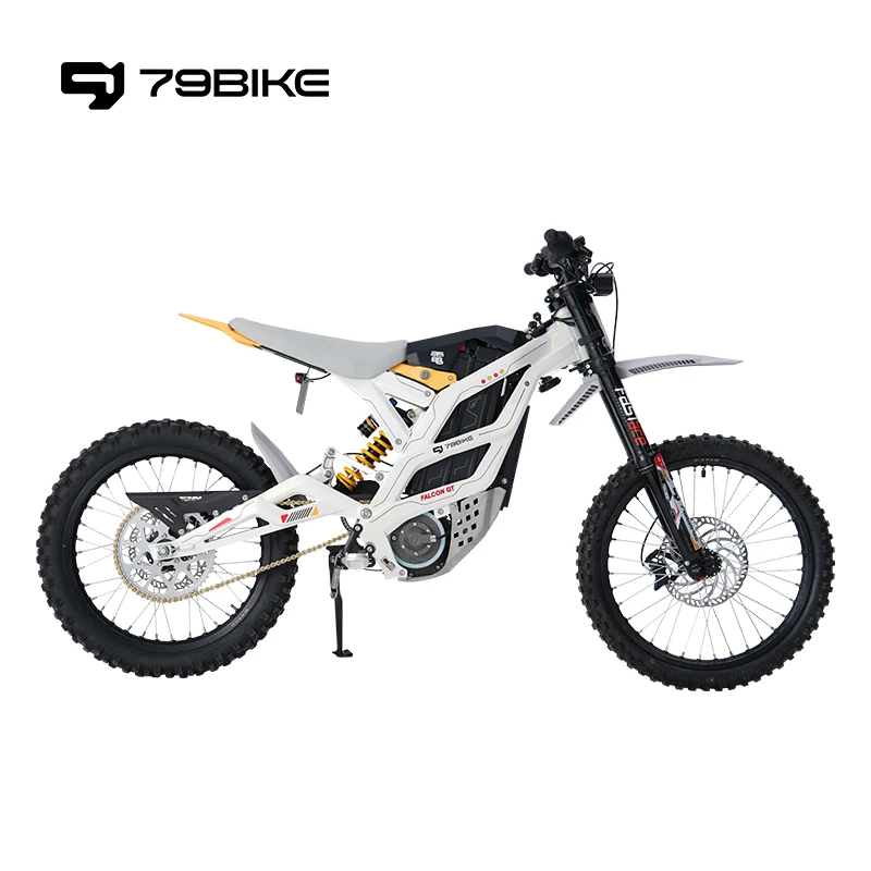 For Falcon GT Sportbikes 120KM 16.8Kw Off-Road Brushless Electric Dirt Bike with 120kg Load Capacity 80km/h Speed for Adults