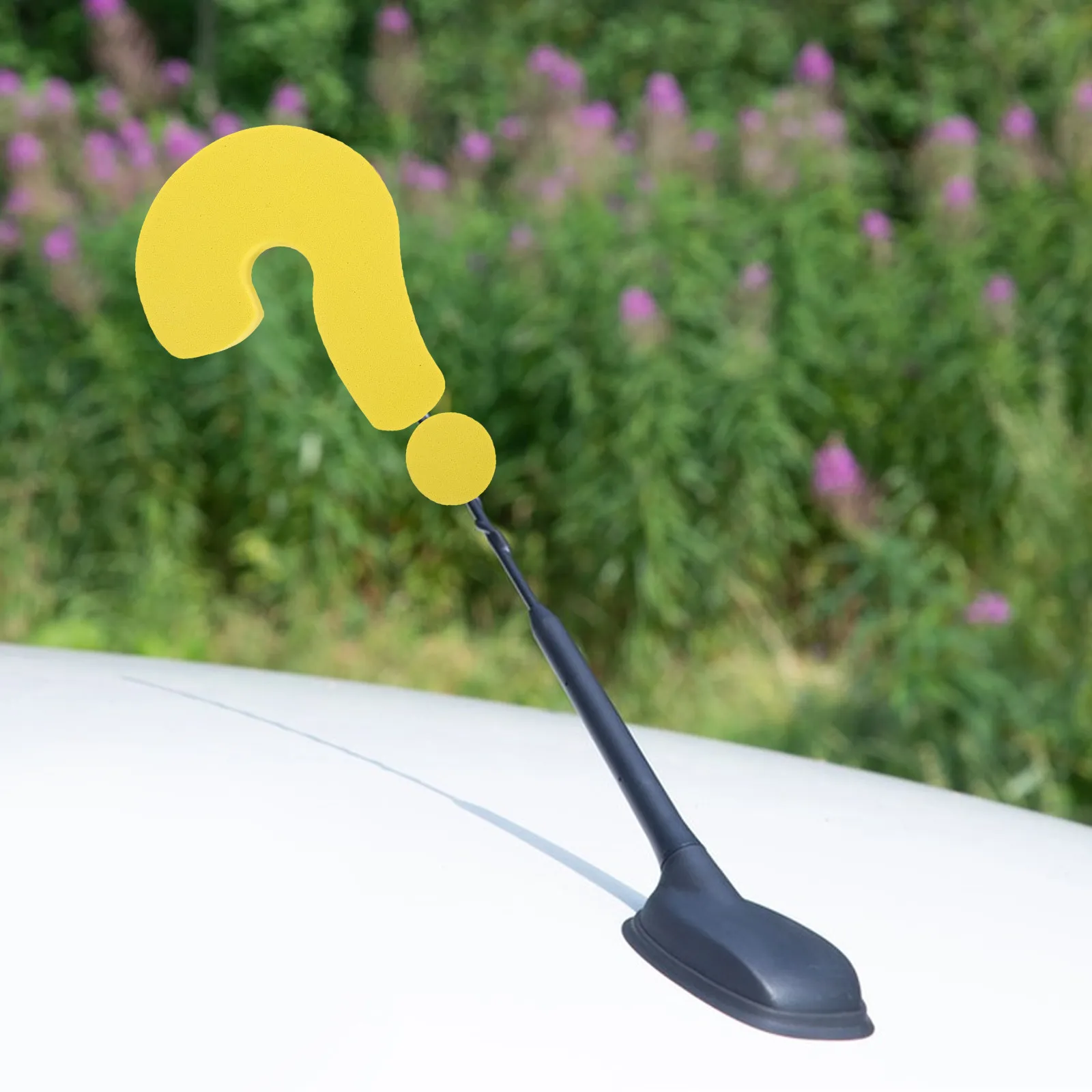 2Pcs Cute Car Antenna Topper Funny Car Decoration For Content Symbol Toppers Roof Ornaments Vehicles