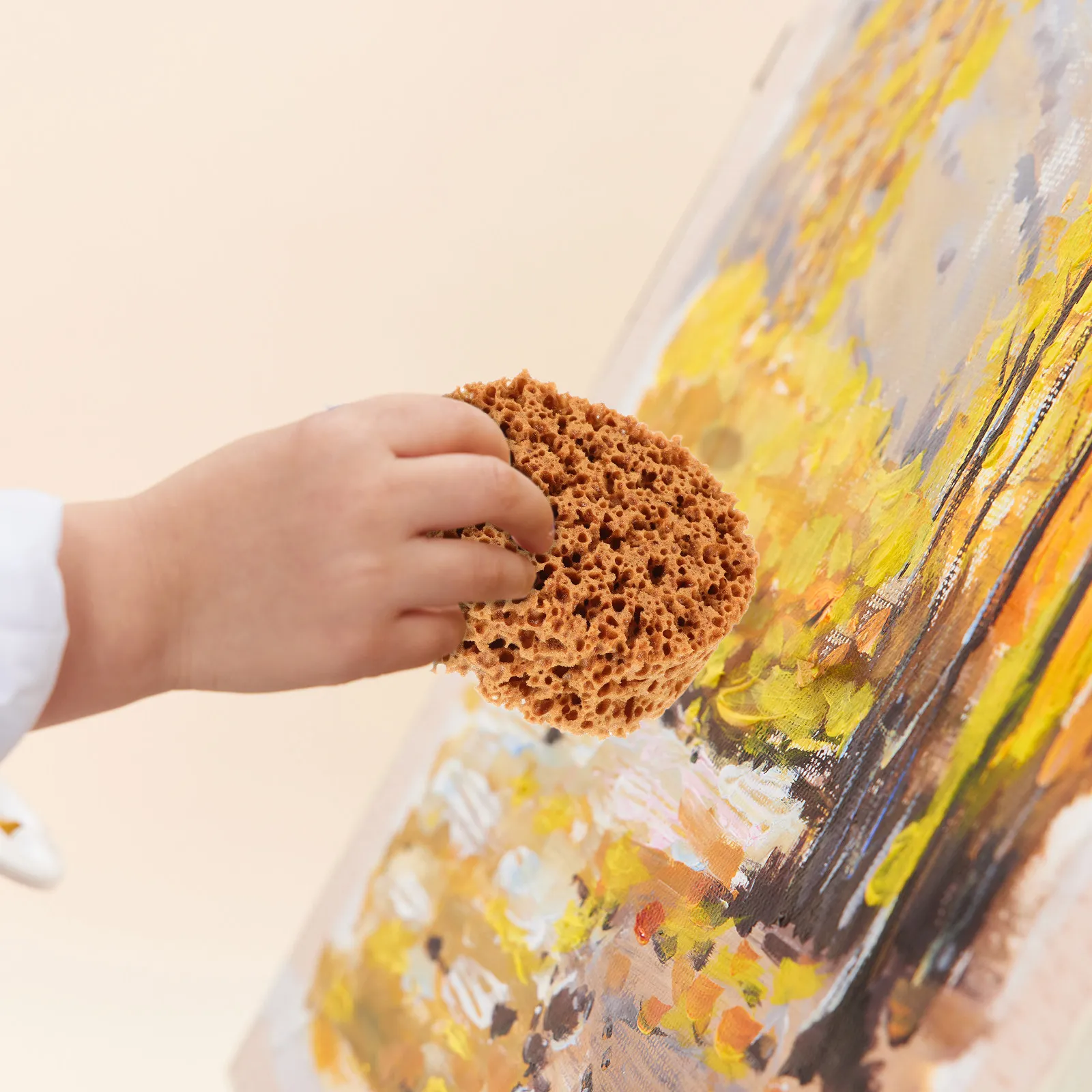 Art And Craft Nature - Spons voor het schilderen met natuurlijke