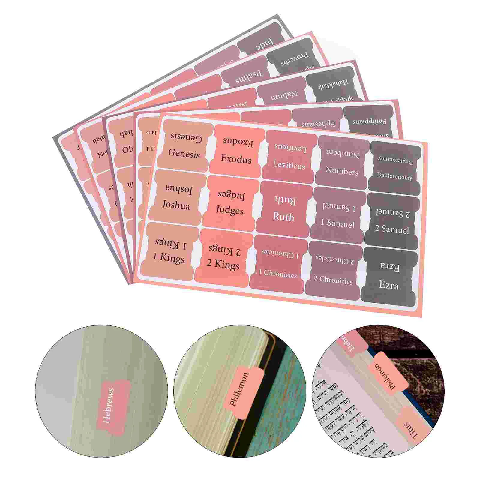 5 Lembar Stiker Alkitab untuk Casing Sampul Label Perlengkapan Belajar Tab Tag Indeks Wanita