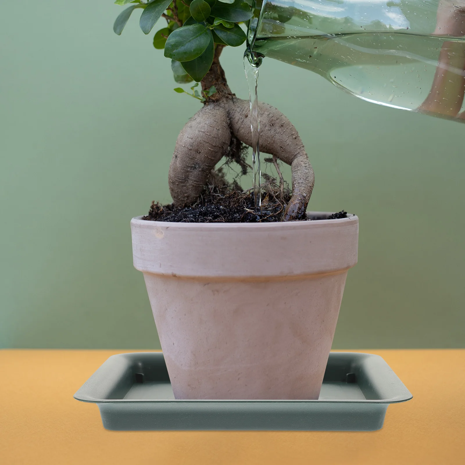 

4pcs Plant Saucers Resin Square Flowerpot Trays Indoor Outdoor Gardening Bonsai Succulent Holders Water Catching Container Trays