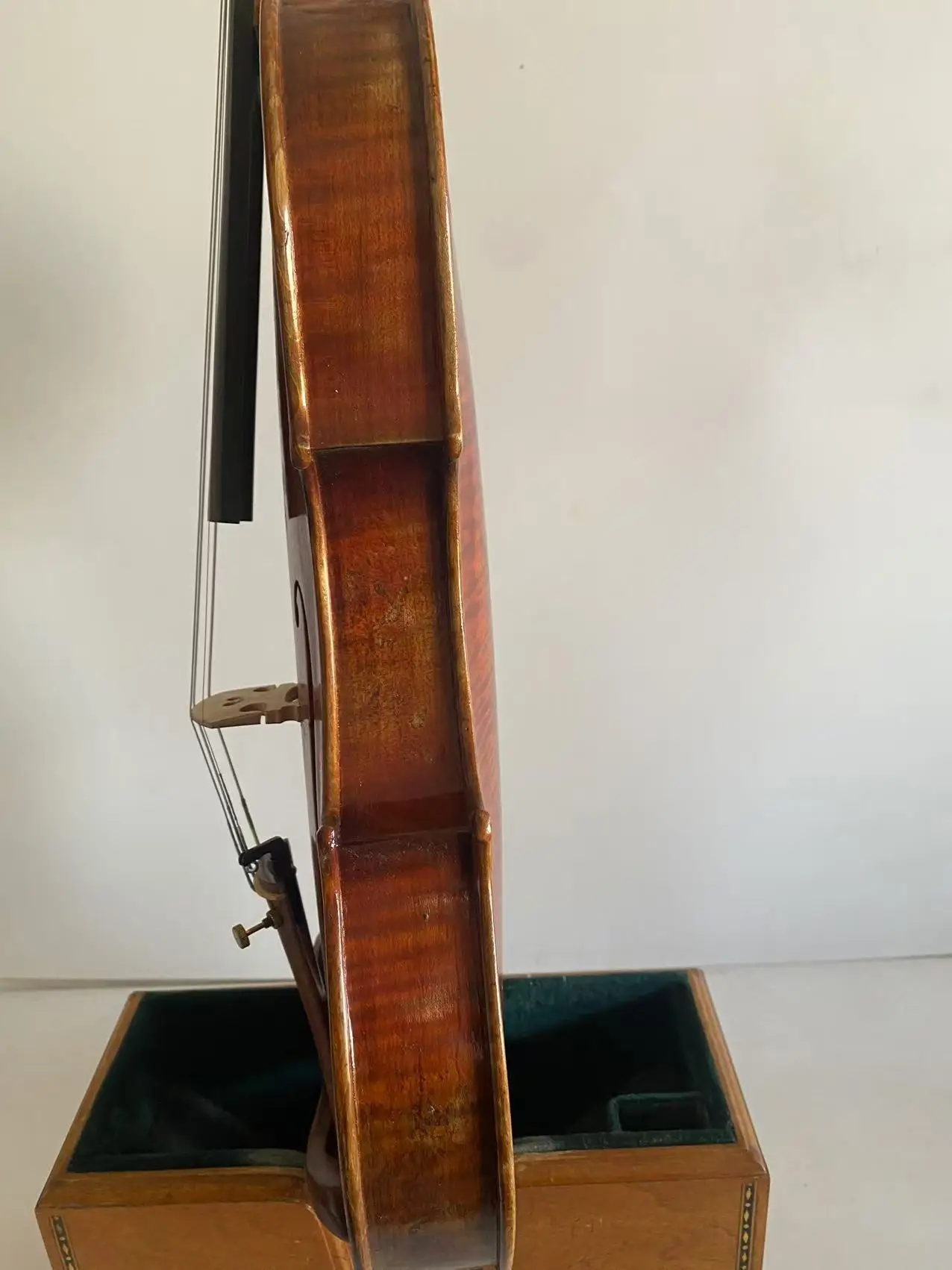 كمان مقاس 4/4 كمان منقوش على شكل نمر طبيعي مصنوع يدويًا من خشب القيقب طراز Guarneri 1742 كمان