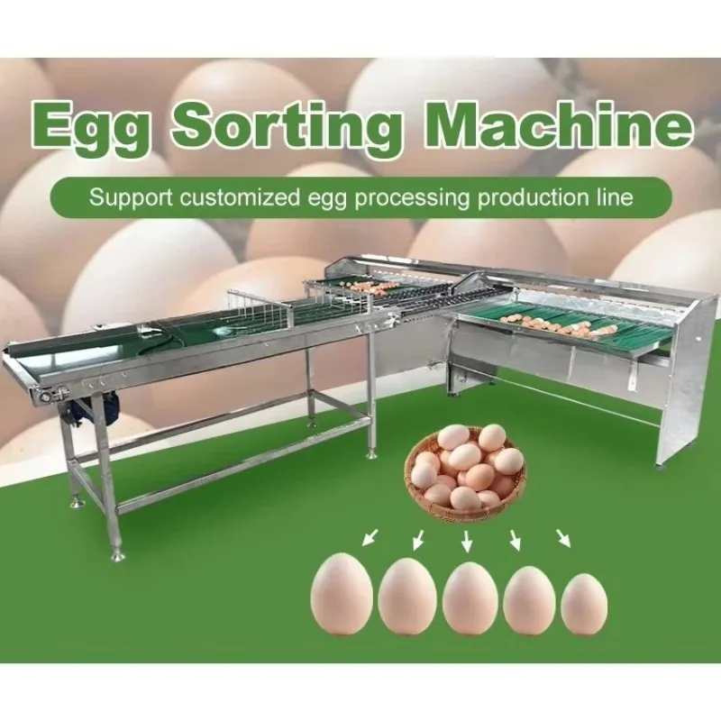 Automatic Egg Grader Small Digital Weighing Egg Sorting Machine 2000pcs/h Egg Cleaning and Grading Machine Price for Sale