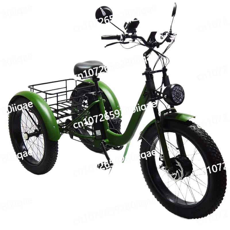 

For Adults Mountain Off Road Powerful Electric Tricycle with Removable Battery 750W 48V 15AH 24 Inch Fatbike Electric Cargo Bike