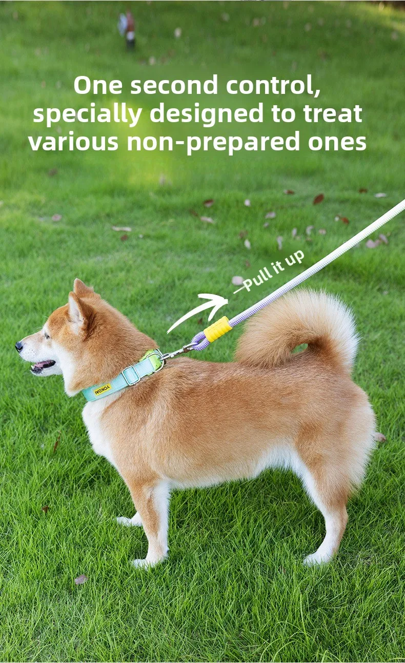 

Gradient Color Anti-Pull Dog Leash, 1.0CM/1.2CM Diameter P-Rope for All Dogs, Anti-Knotting Traction Rope with Ergonomic Handle