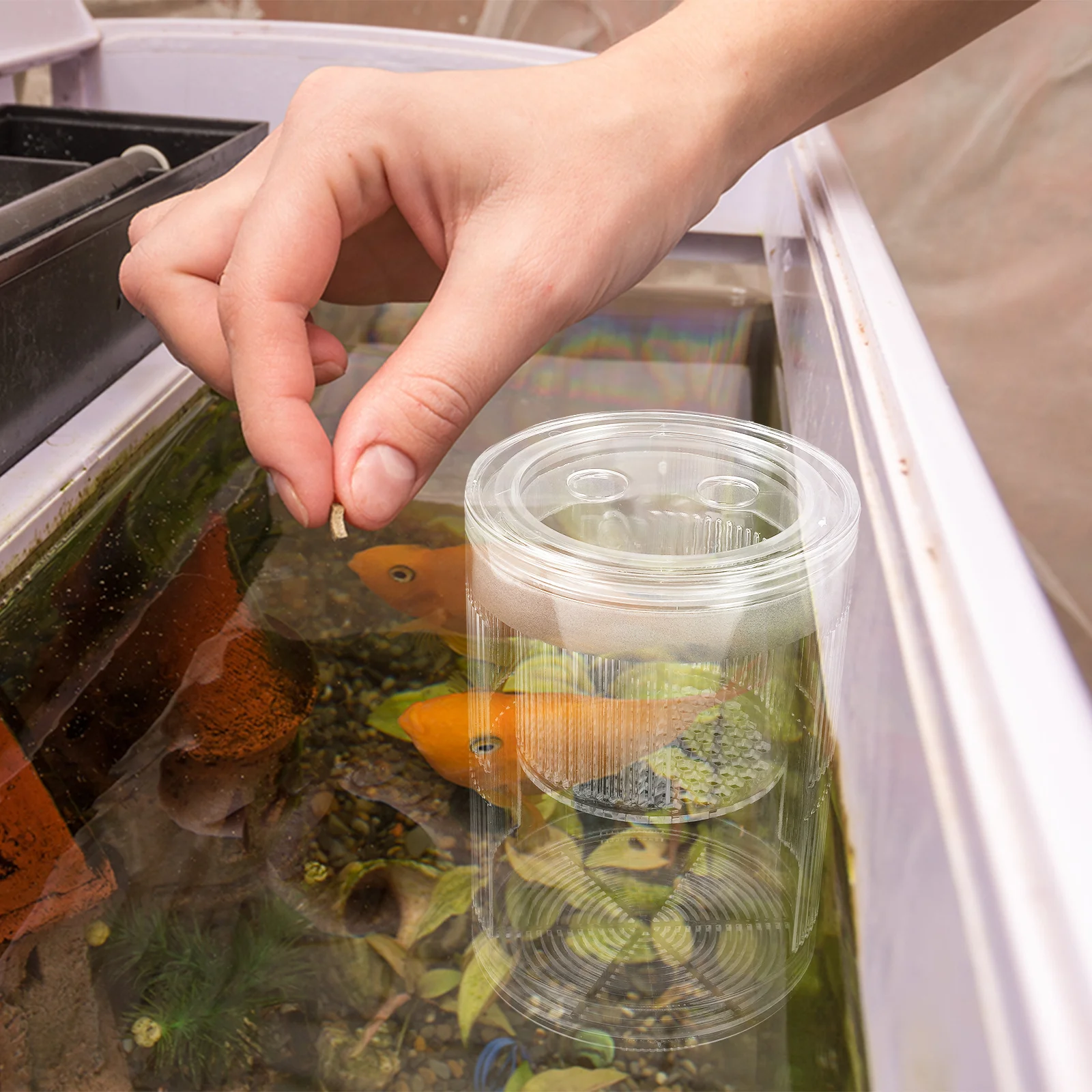 

Acrylic Floating Fish Hatchery Box Aquarium Breeding Divider Isolation Chamber Incubator Betta Guppy Shrimp Small Fish Incubator