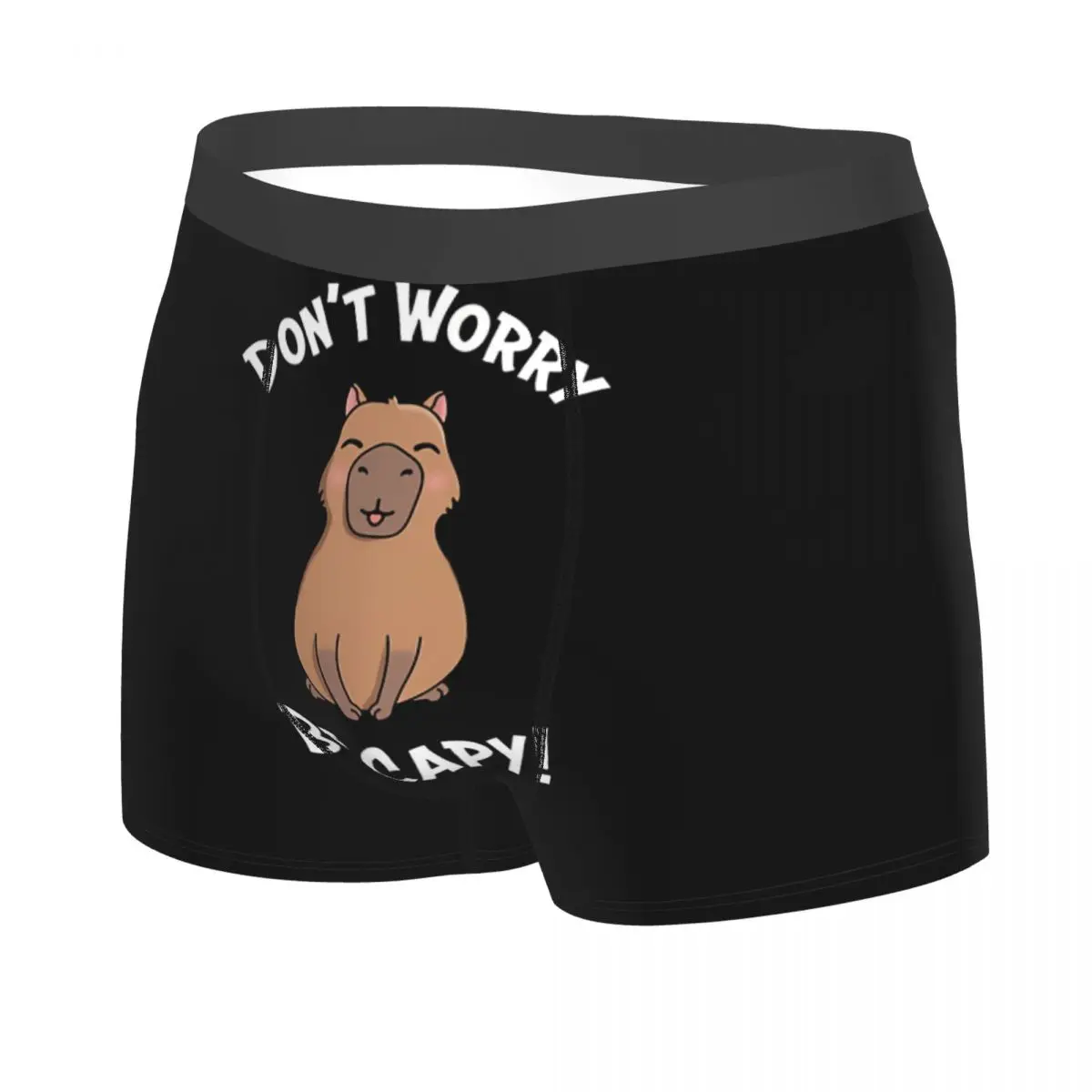 Capy Man\'s Boxer Briefs Capybara Highly Breathable Underwear Top Quality Print Shorts Birthday Gifts