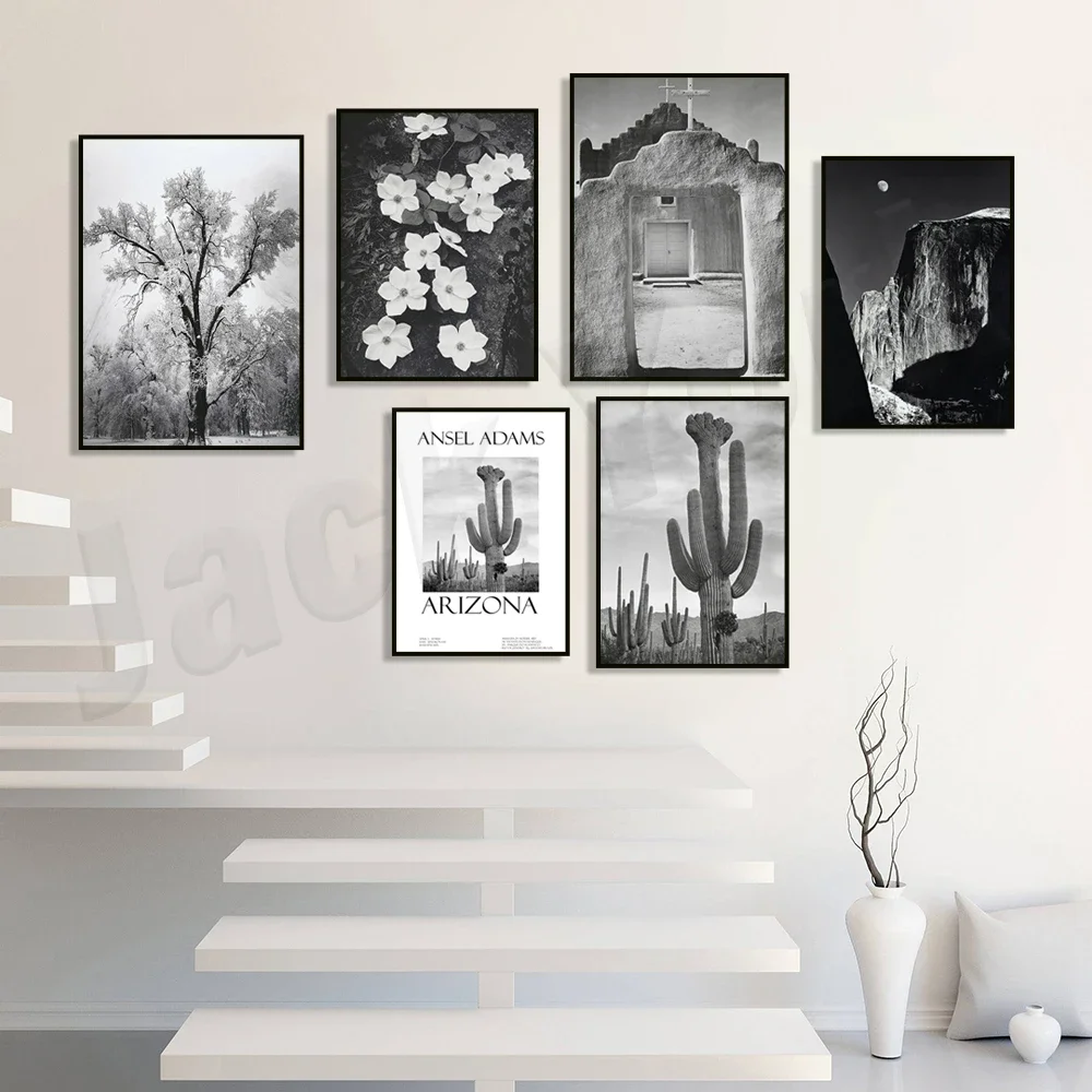 (2D Canvas Painting)  Ansel Adams Lithograph, Teton and Snake Rivers, Dogwood Flowers, Ansel Adams Half Dome, Mountains, Oak