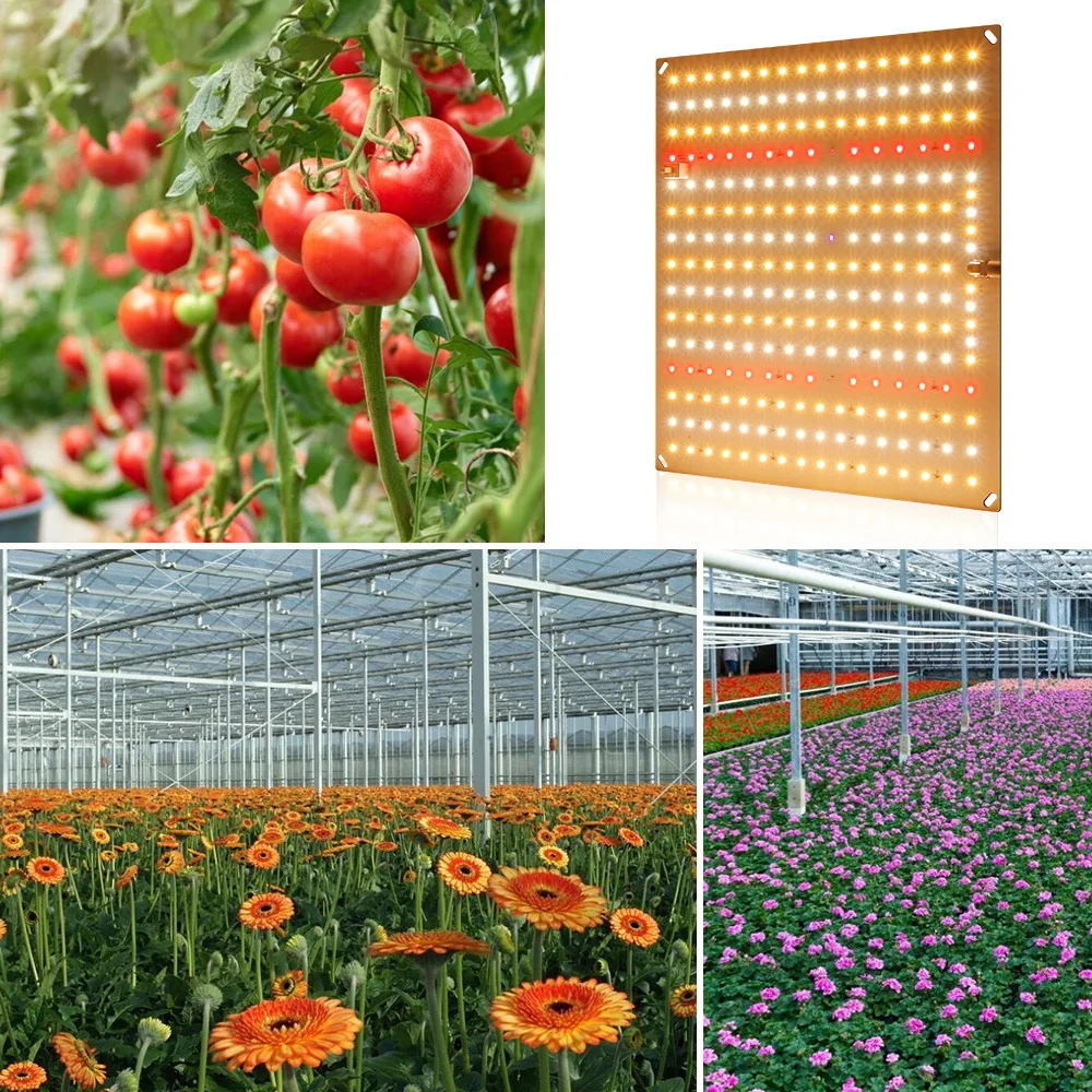 Full Spectrum LED Grow Light For Seedlings Growth Light Samsung LM281B For Indoor Plant Grow Tent Veg Flower Bloom Phyto Lamp