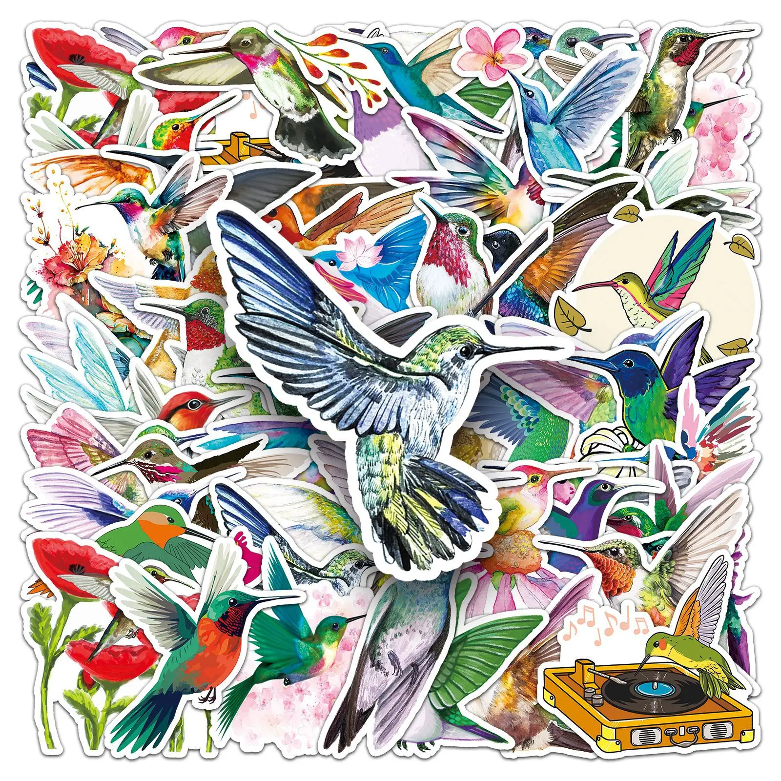 

10/50PCS Hummingbird Phaethornis ruber Cartoon animal bird color decorative laptop thermos waterproof sticker Kids Toy