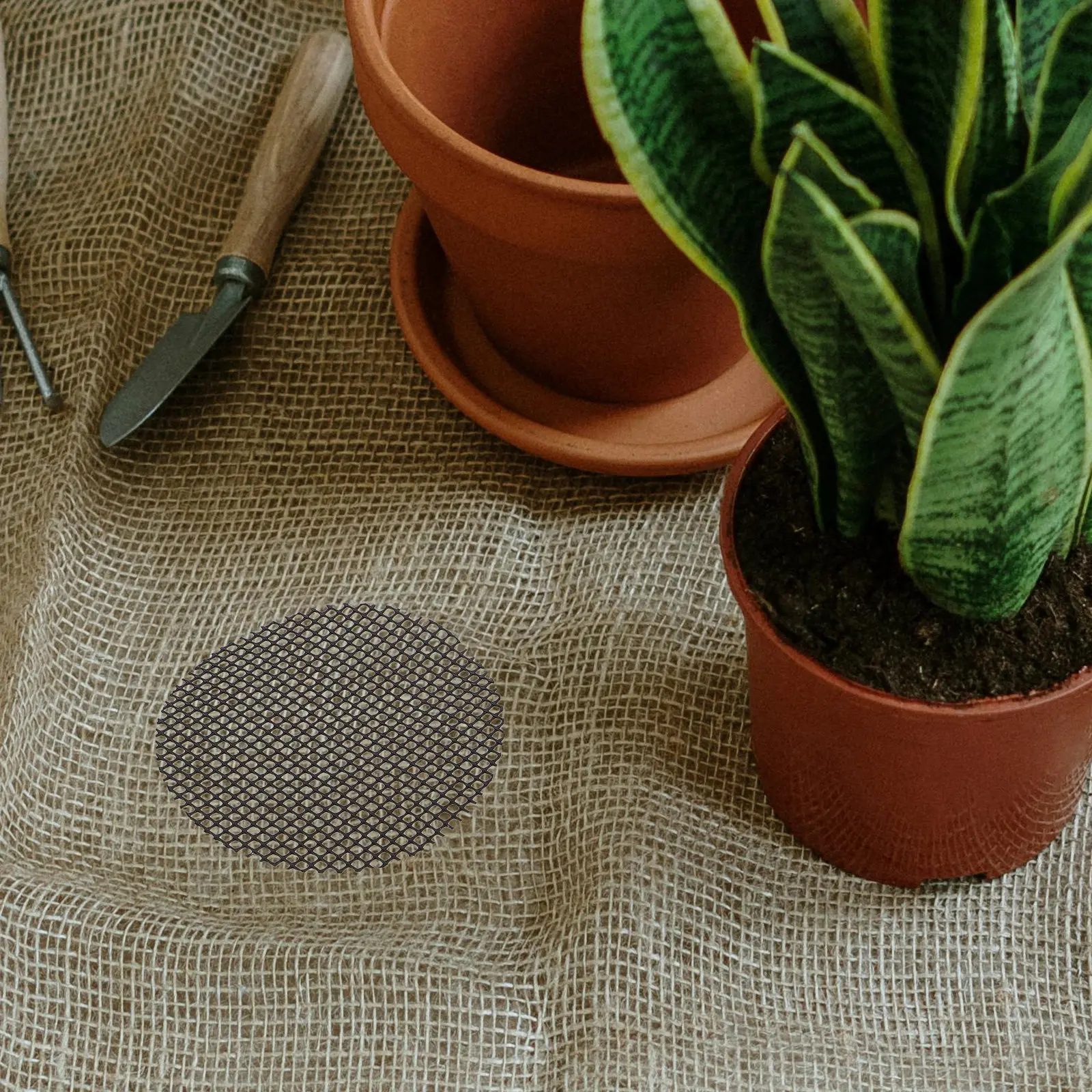 

20Pcs Flower Pot Hole Mesh Pads Drainage Discs for Plant Pots Bonsai Terrarium Mesh Drain Cover Pot Bottom Net Lightweight