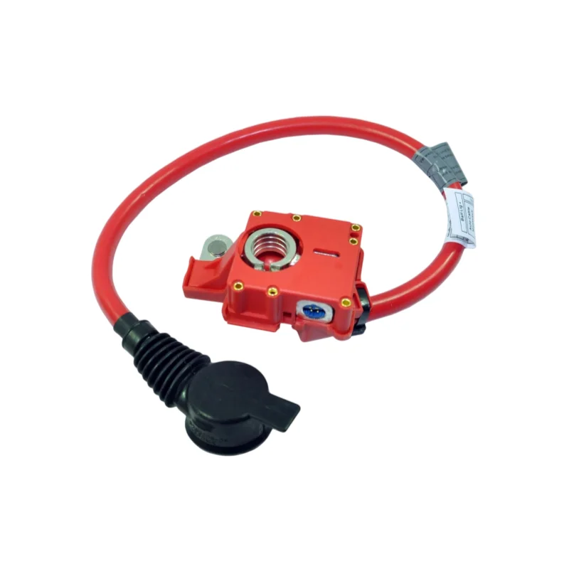 Car Accessories Styling Battery Positive Fuse Cable 61129217036 For BMW 5 Series F10 F11 F12 F01 F02 F03 F04 E70 E71 E72 X5 X6