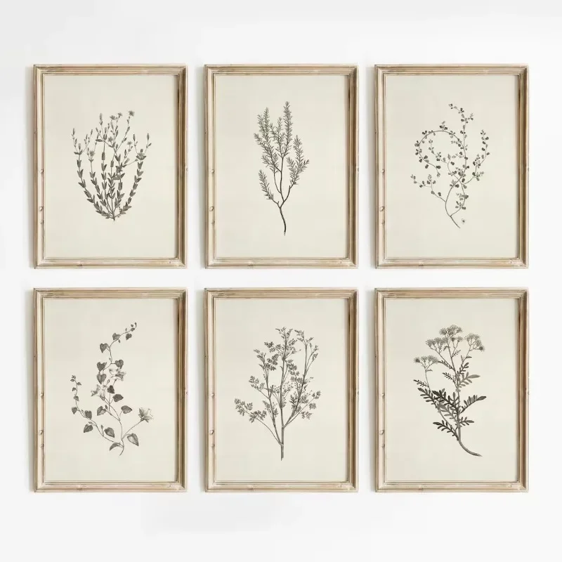 Vintage Botanical Flower Poster Print Beige Tones Floral Blossom Canvas Painting Wall Art Picture Living Room Home Decor Mural