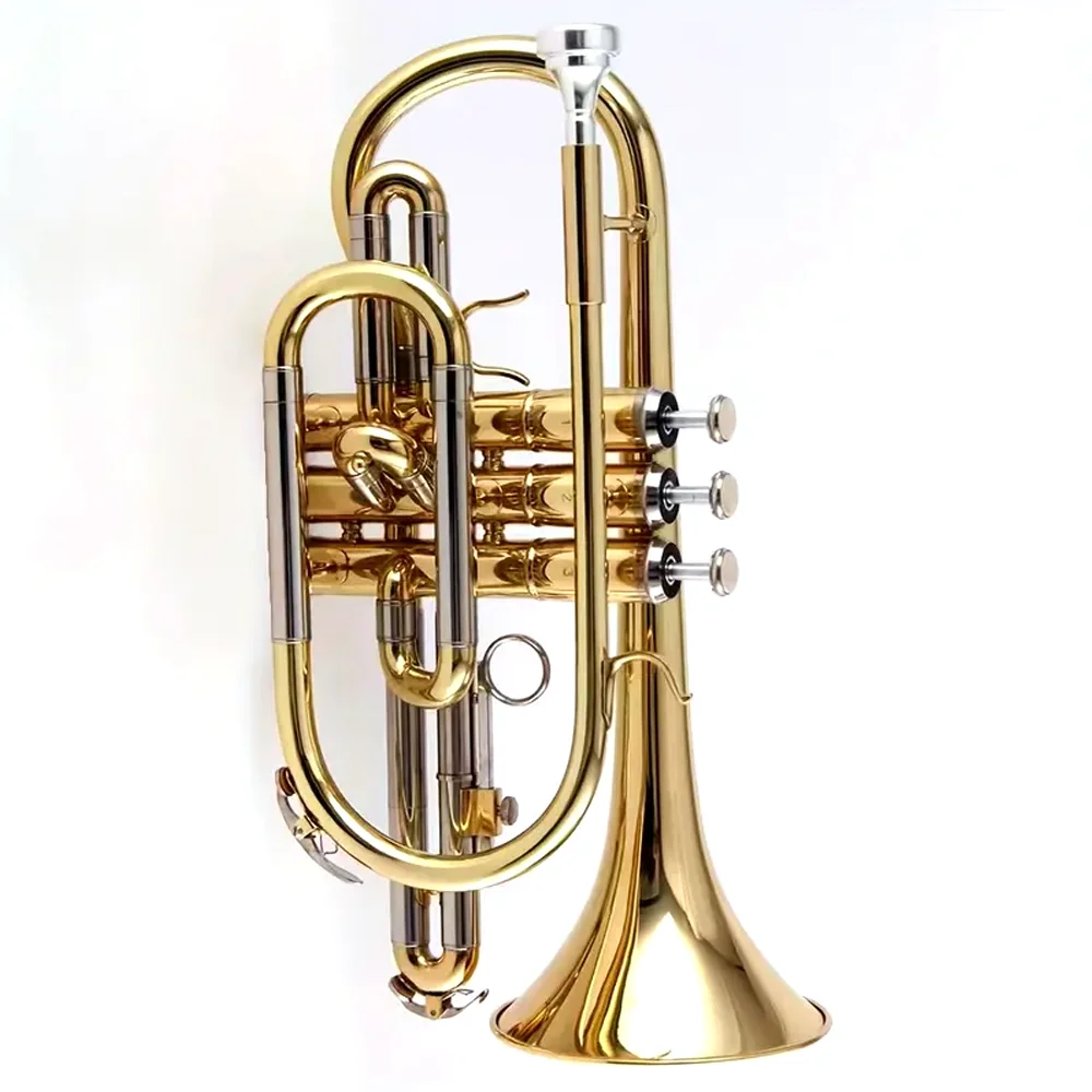 

1 piece JYCO-E100G Brass paint B-tone professional trumpet beginner horn jazz instrument gift trumpet with bag