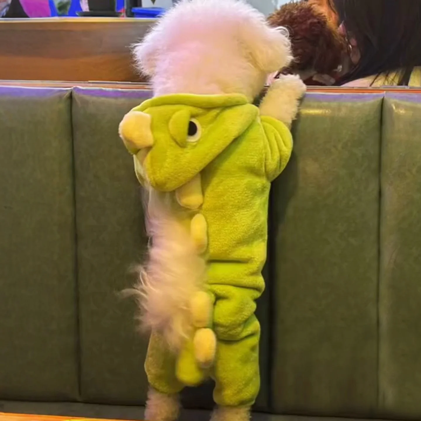 Adorable Dinosaur T…