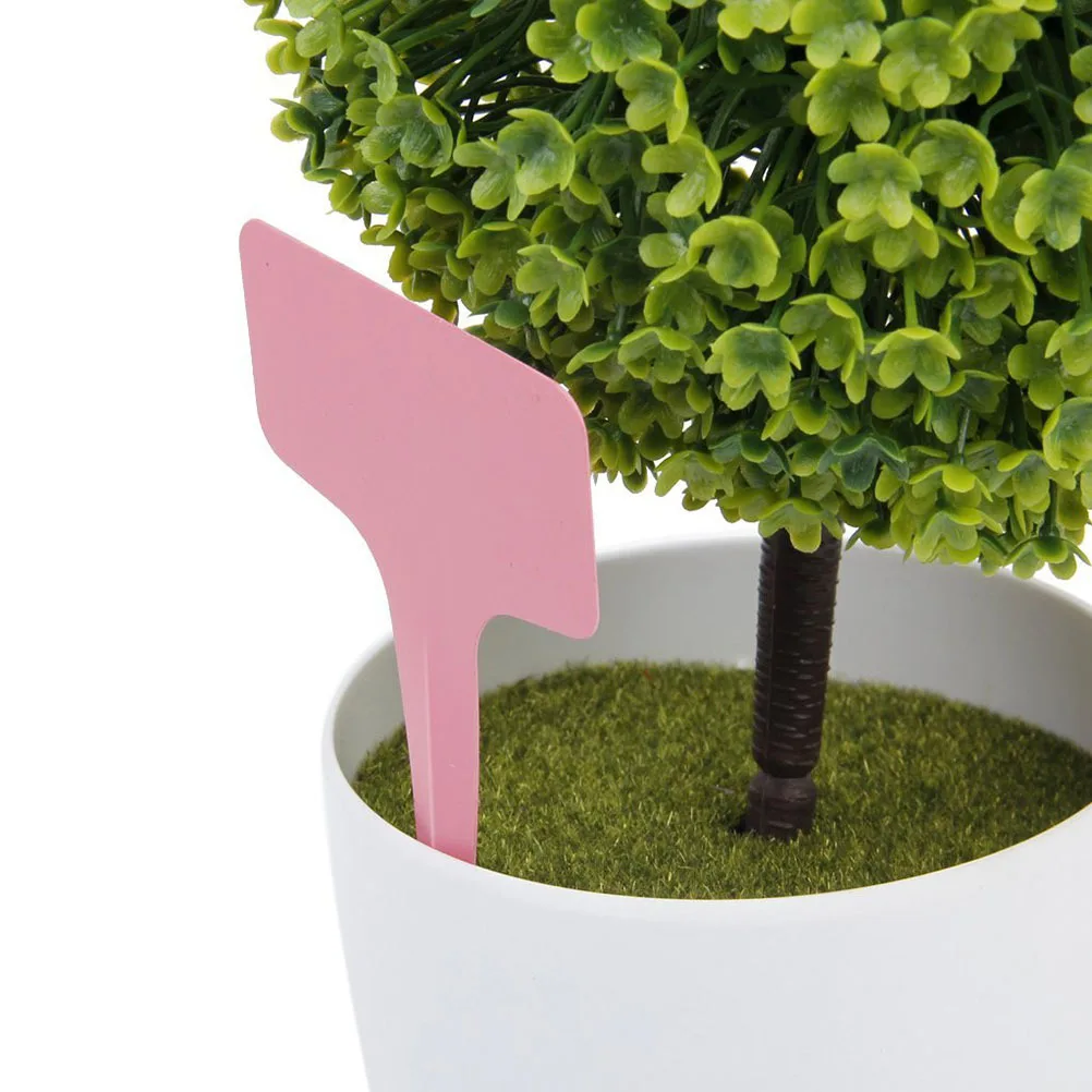 

100Pcs Plant Markers 6x10cm -Shaped Garden Labels Plastic Succulent Tags Reusable Weatherproof Long-Lasting PVC
