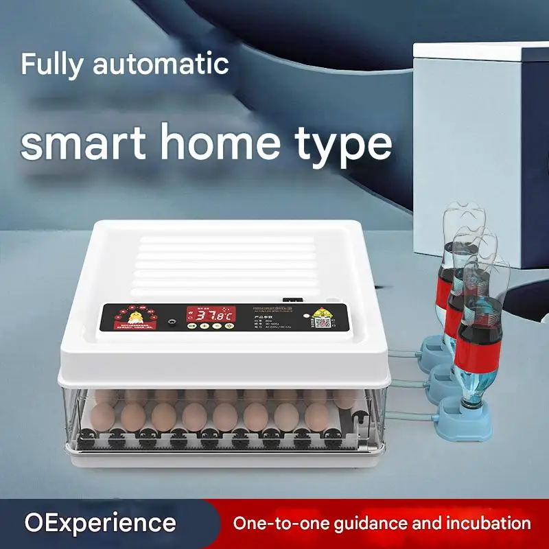 مصنع معدات الزراعة حاضنة البيض الأوتوماتيكية مزرعة الدواجن 300 آلة تفقيس البيض لطيور البط والدجاج