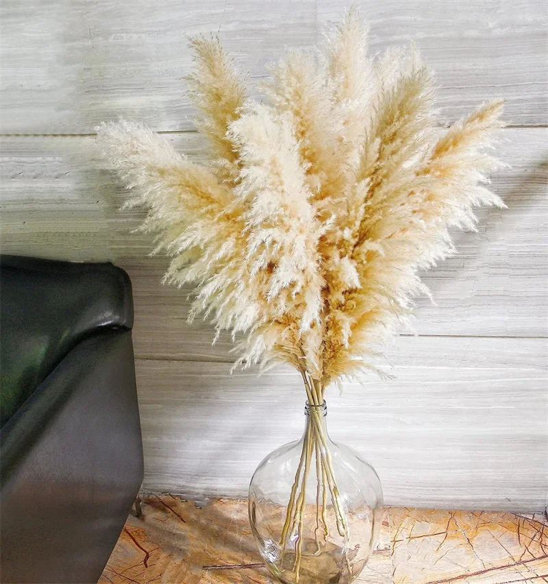 50-60cm Natural Fluffy Large Pampas Grass Wedding Arch Decor Dried Artificial Plants Pampas Home Decoration Outdoor Dry Flower