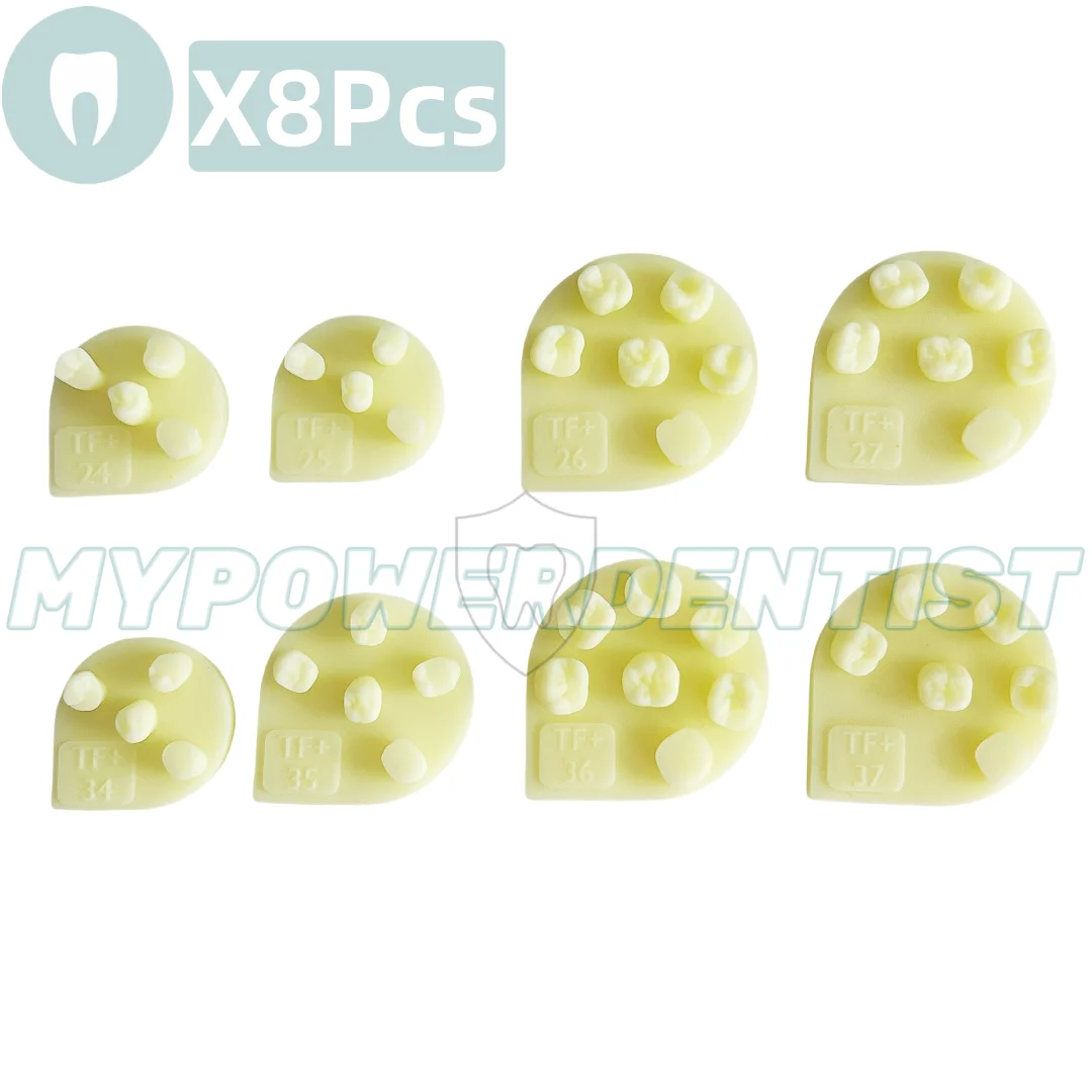 8Pcs Dental Composite Resin Filling Practice Molar Model Dentistry Student Test Model