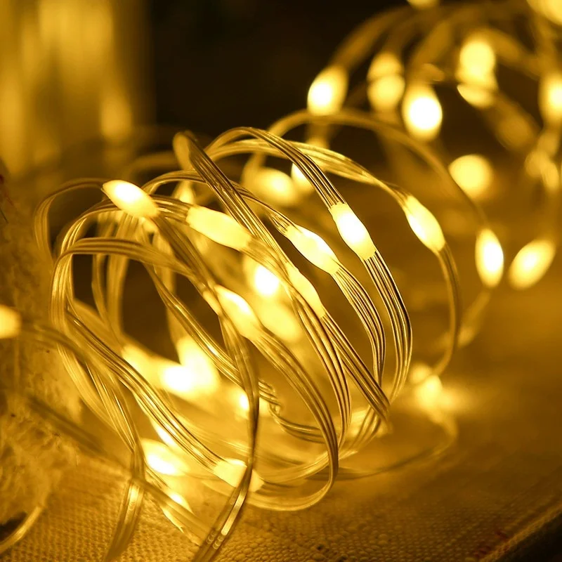 Garland 100 Meters LED Festoon Fairy String Light Christmas Lights Length 30/50M EU Plug Operated Come with 24V Transformer