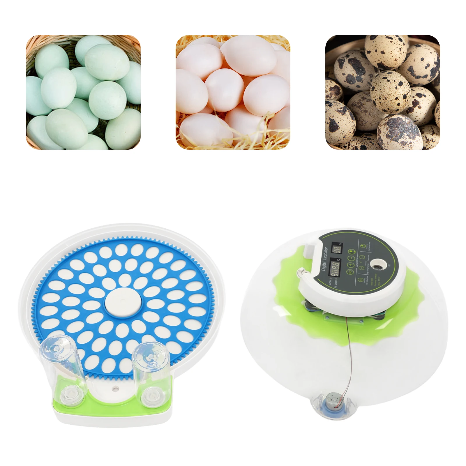 60 Egg Incubator, Bird Egg Incubator, Automatic Temperature Humidity Control, Egg Turner, LED Light, Dual Power, ABS Material, Hatching Eggs