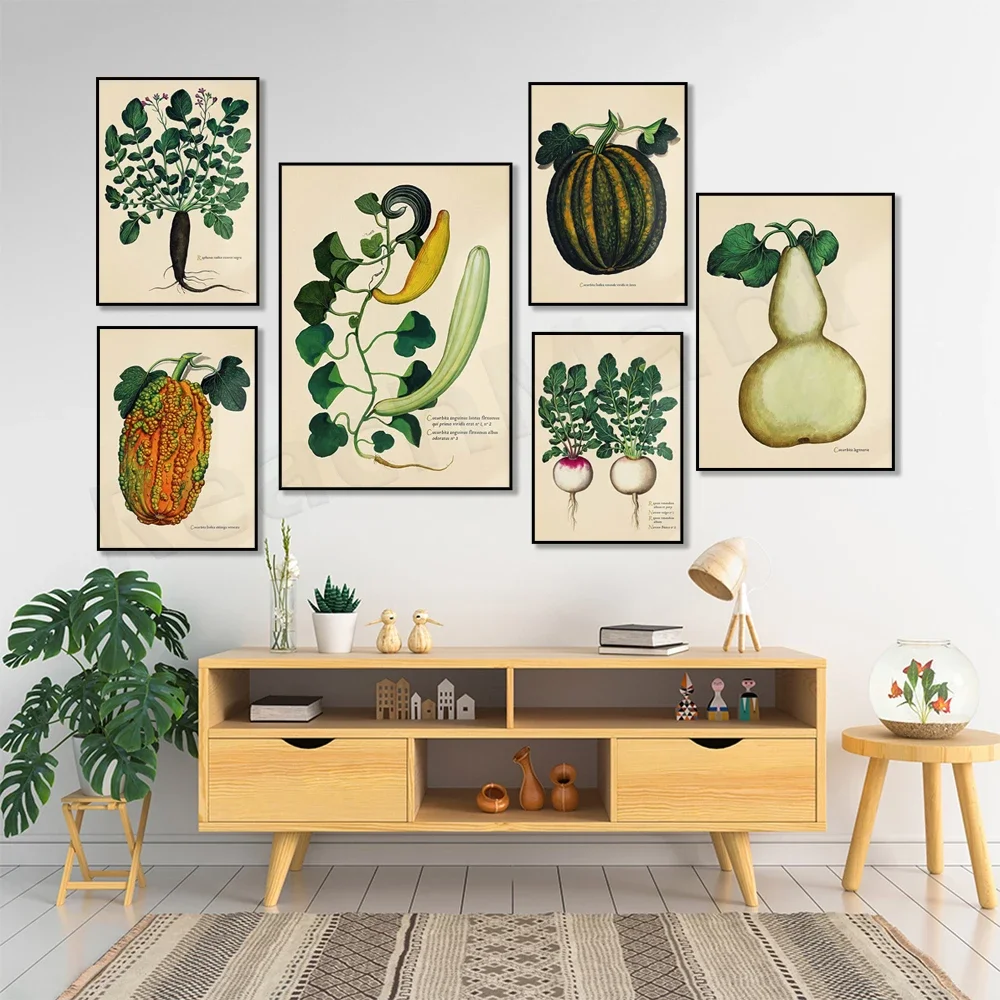 Vintage Botanical Poster - Vegetable Plant - Green Potimarron, Radish, Round Radish, Butternut Squash from Morocco, Kitchen Deco