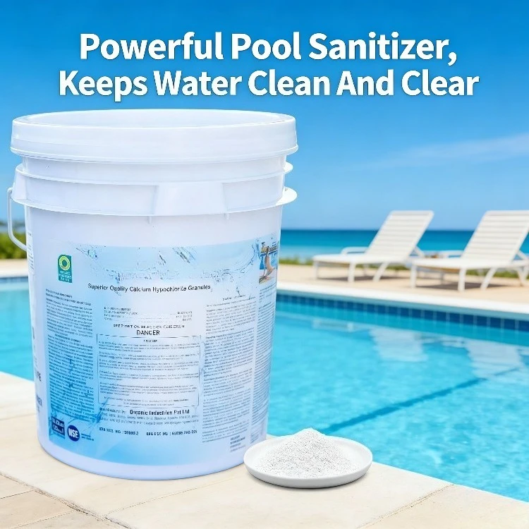 Granular Swimming Pool Shock 65% Cal Hypo for In Ground Above Ground Pools Spas Hot Tubs