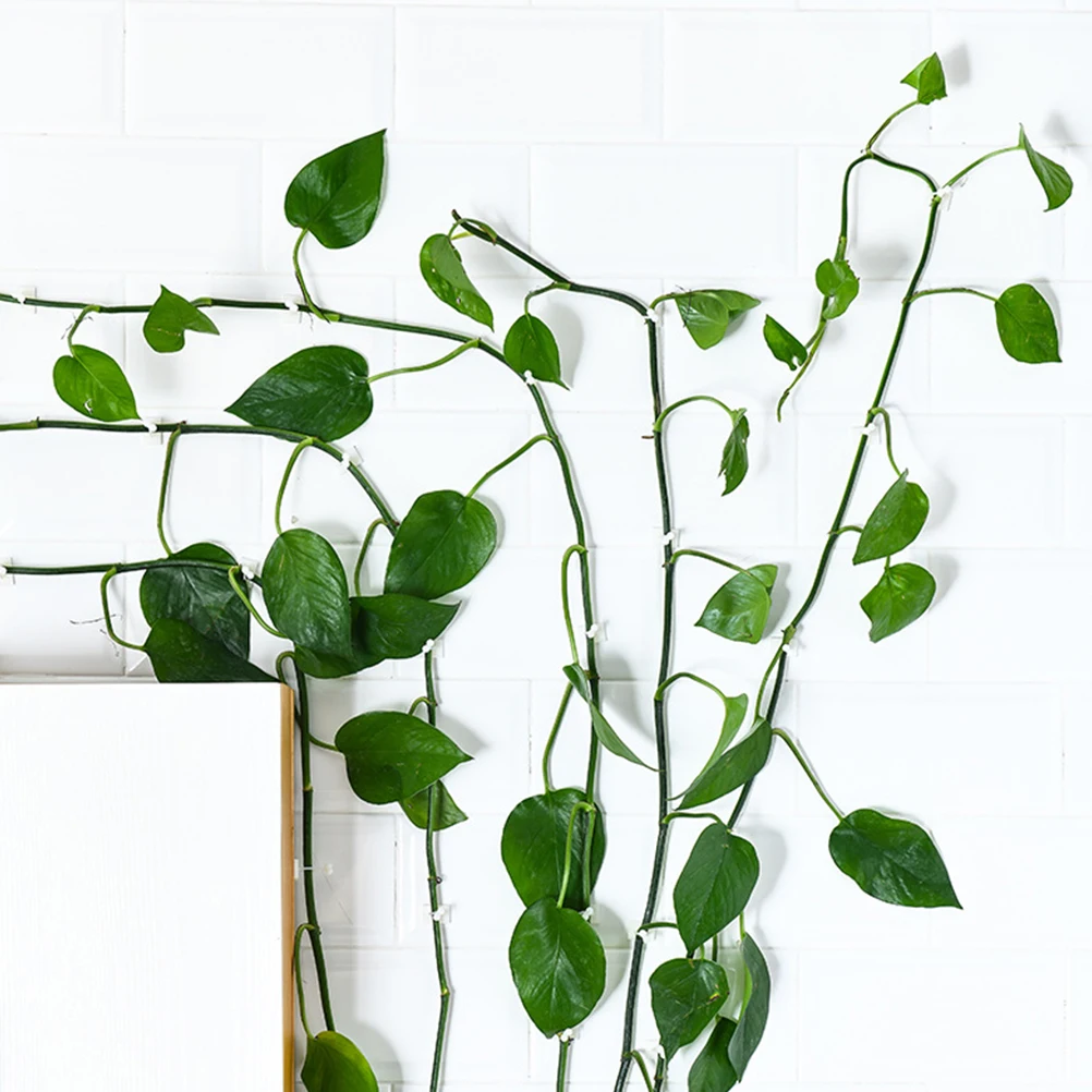 

120Pcs Green Plant Fixing Clips Plastic Wall Vines Supports Home Garden Balcony Indoor Use Wall Vines Fixing Clips,