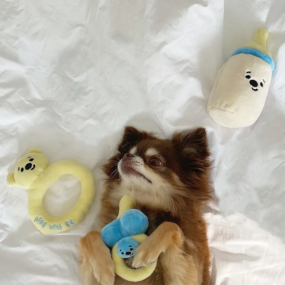

Super Cute Gift For Puppy Baby Set With Nipple Milk Bottle Rattle Design Pet Squeaky Dog Toy