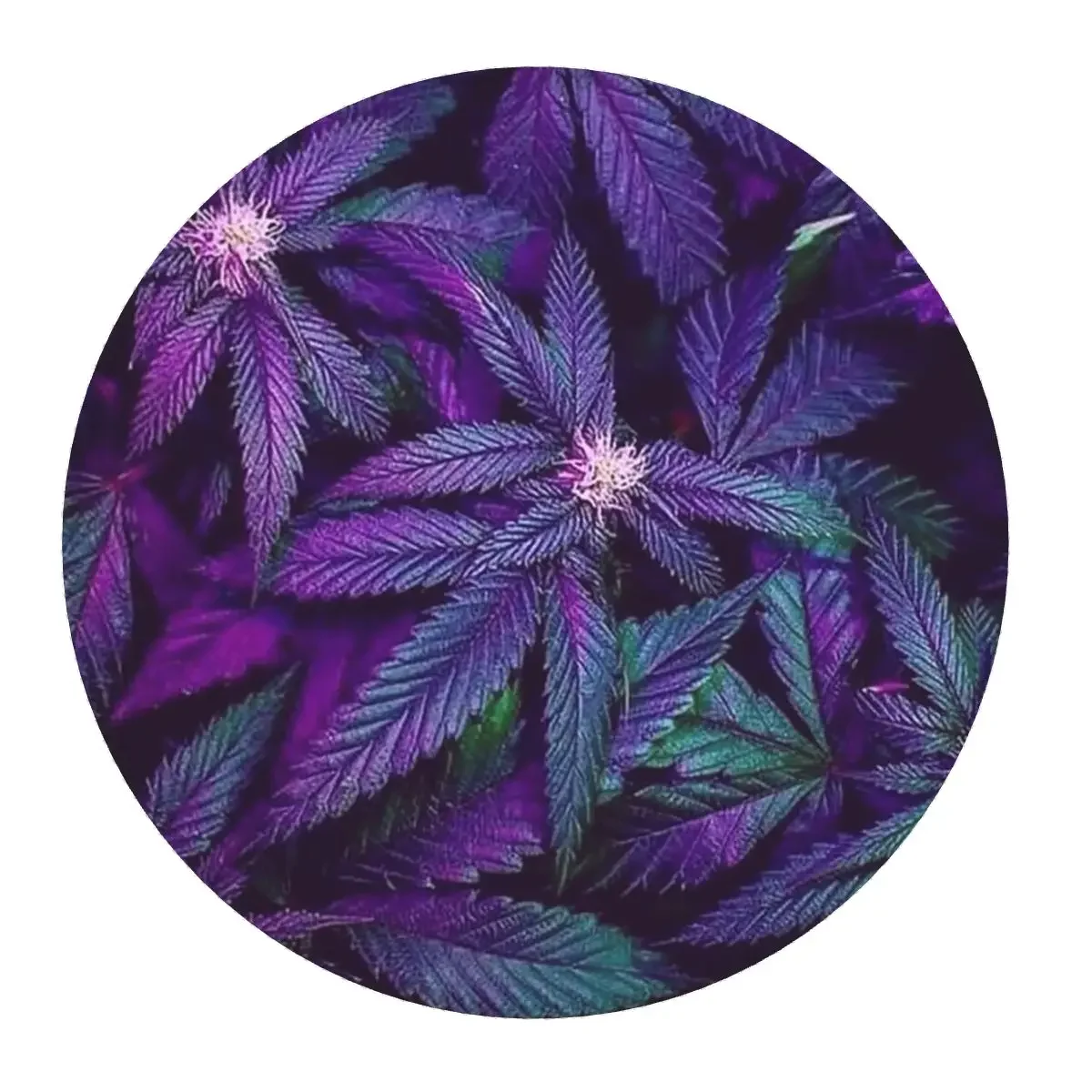 Psychedelic Purple Cannabis Marijuana Weed Pot Leaves Round Mouse Pad Computer Keyboard Mouse Mat Gamer Laptop Desk Mat