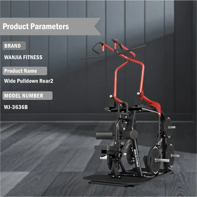 Dezhou Fitness Commercial Professional Gym Fitness Equipment Strength Training Wide Pulldown Rear2 for Sale