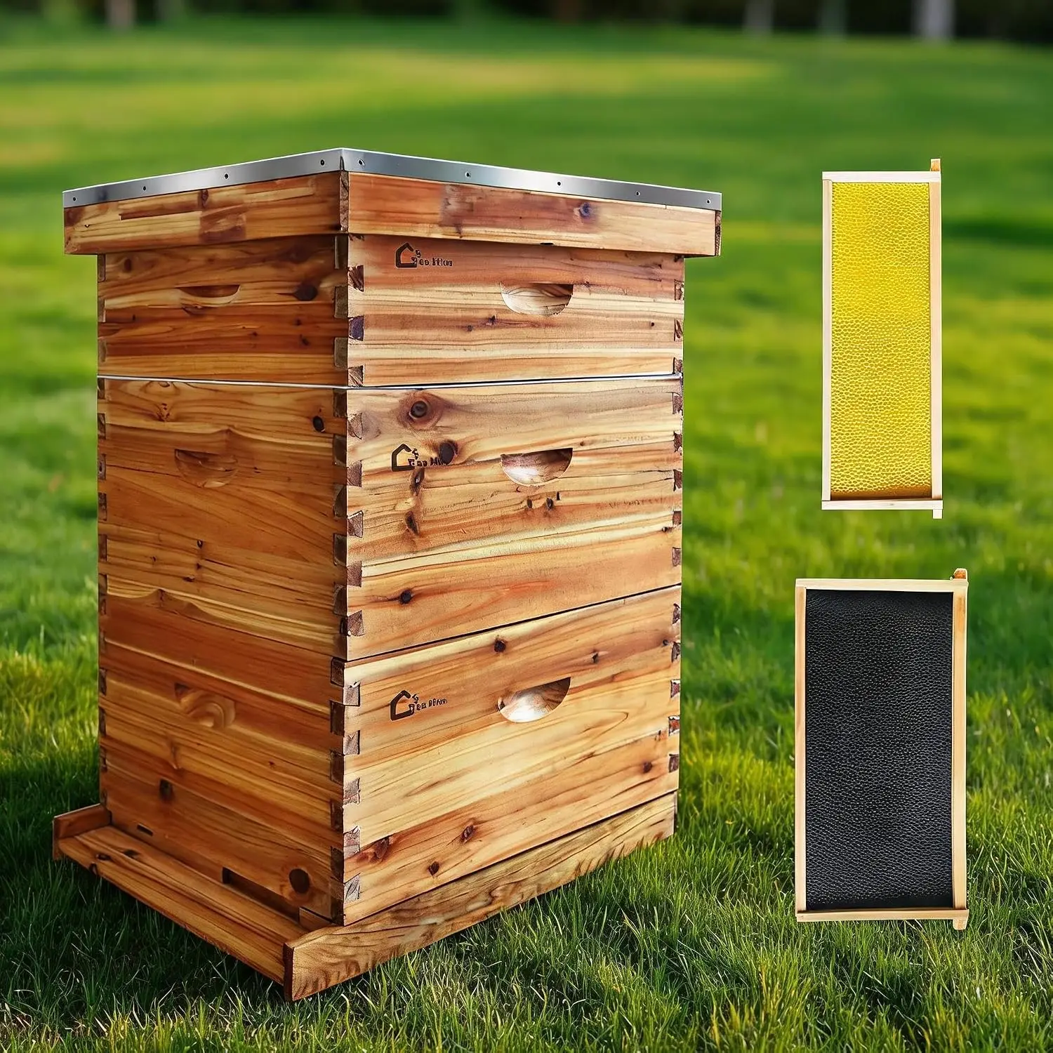 10-Frame Langstroth Bee Hive Coated with Beeswax Includes Beehive Frames and Foundations Beekeeping Starter Kit Honey Storage and Easy Beekeeping Medium Box