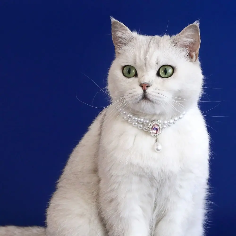 

Double Layer Pearl Pet Necklace Sweet Flower Pendant Pet Pearl Collar Adjustable Cat Neck Chain For Cats Puppy