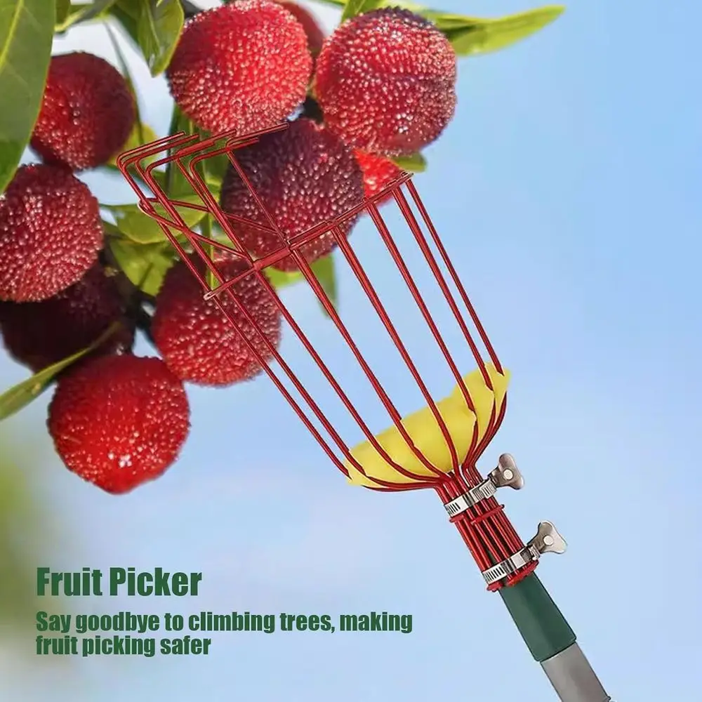 높은 과일을 수확할 수 있는 바구니가 달린 텔레스코핑 수확봉: 아보카도, 도토리, 레몬, 배, 망고
