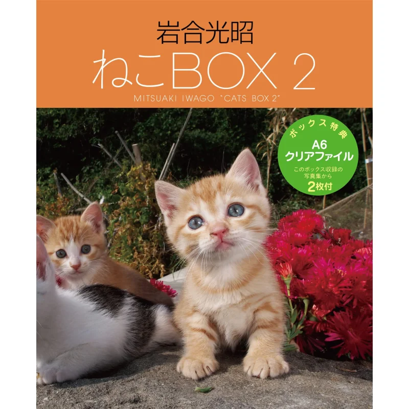 

Mitsuaki Iwago Neko Bunko BOX2 4 Volumes Set Mitsuaki Iwai Clevis 9784909532695 Book