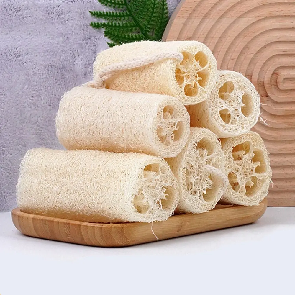 Petite brosse en luffa avec UL, éponge de bain écologique pour le corps, épurateur de cuisine, outil de nettoyage HOClean, pot expansif, bol