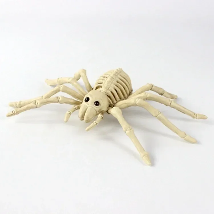 

Halloween spider skull, venue layout props trumpet spider skull skeleton