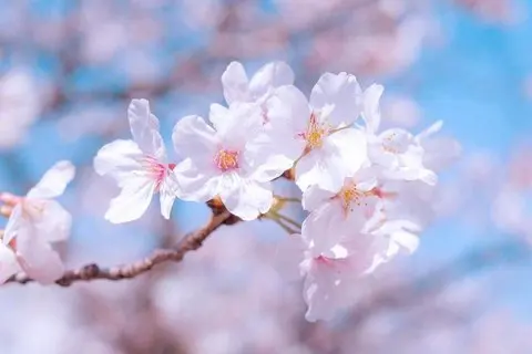 

4PCS 100MM Rubber 1.9 Wheel Tires for 1:10 RC Crawler Car Axial SCX10 AXI03007 D90 D110 Tamiya CC01