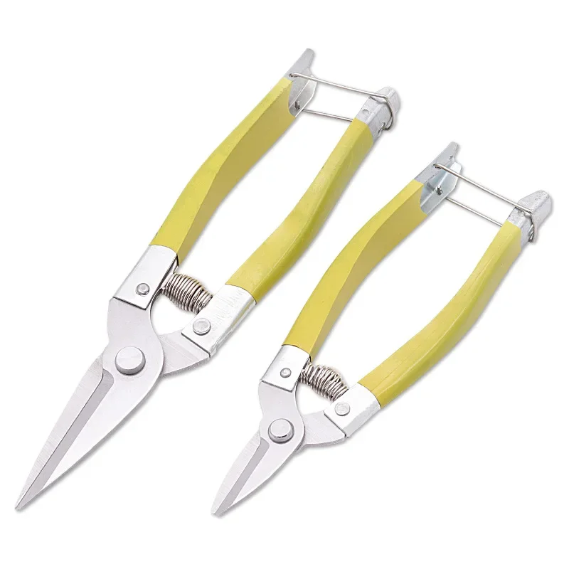 Sécateur de jardin en acier inoxydable avec poignée coordonnante, coupe-tuyau en PVC, ciseaux à branches de fruits bonsaï, plastique trempé, ménage