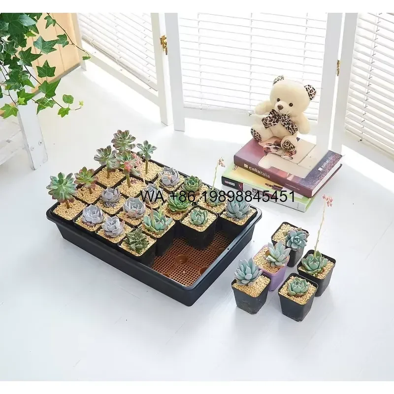 Wmwmnu Durable Plastic Flat Flower Plant Pot Stand Holder Seeding Germination Nursery Grow Tray Propagator With Dome Lids